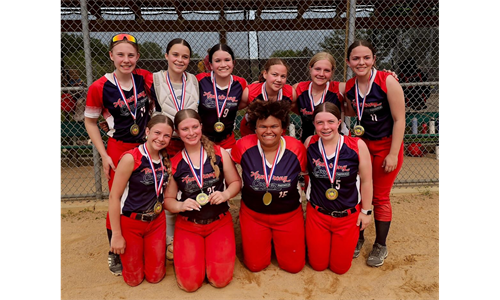 14U Navy wins Gold Bracket!